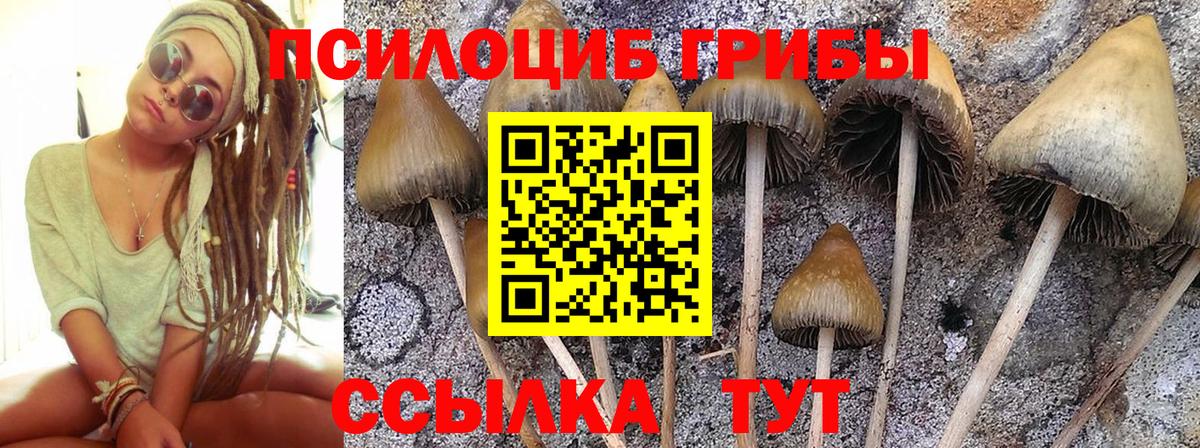 Галлюциногенные грибы мухоморы Баксан